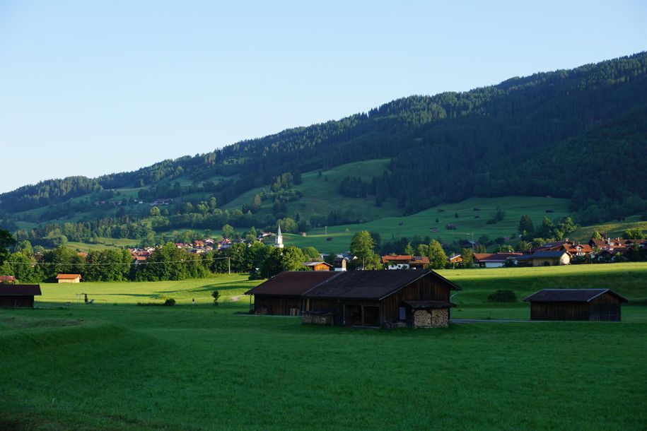 Blick_4