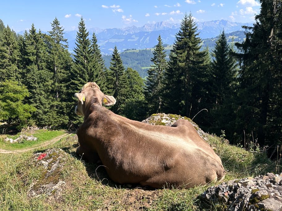 Den Ausblick genießen