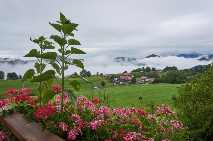 Blick ins Tal