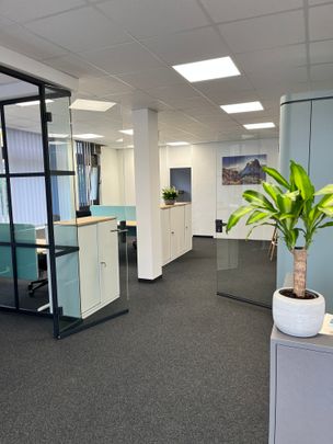 Büros: Offene helle Räumlichkeiten