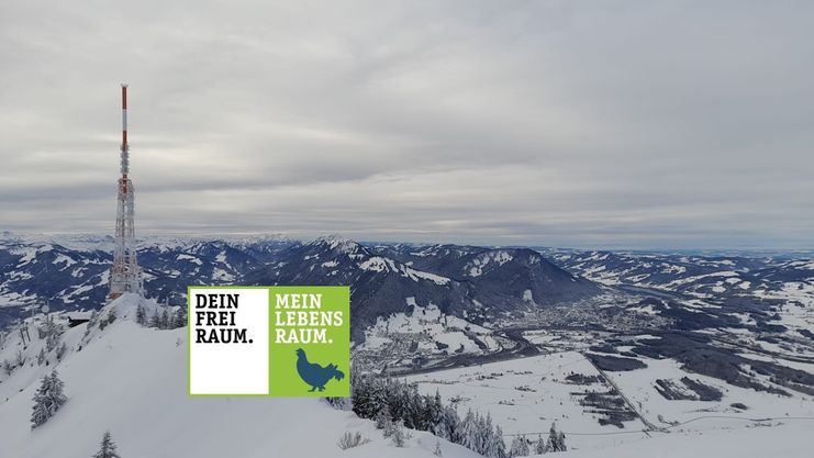 Von Kranzegg auf den Grüntengipfel