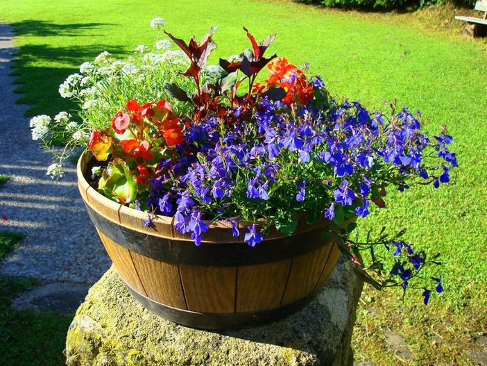 Blumenschmuck