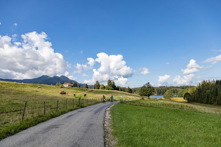 Alpe Kögelhof und Kögelweiher