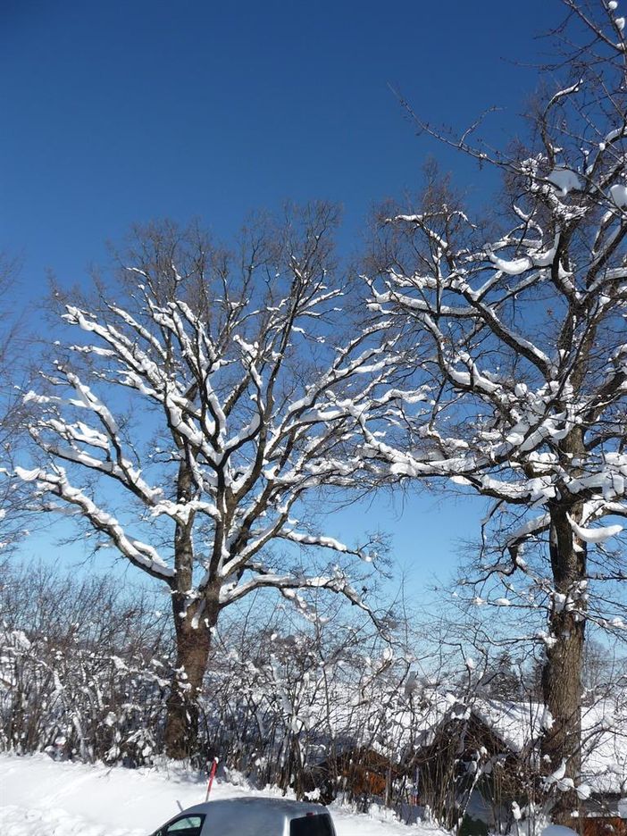 Winter im Allgäu