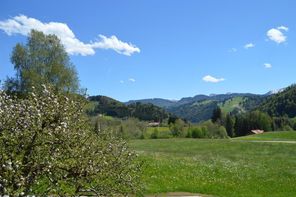 Ausblick aus dem Südzimmer