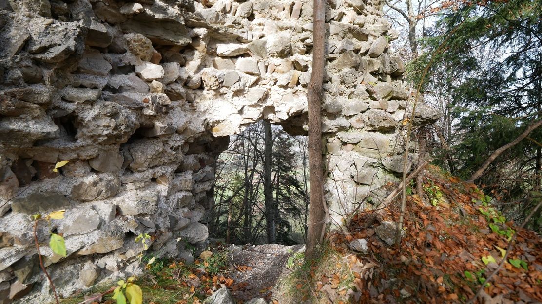 Burgruine Vorderburg