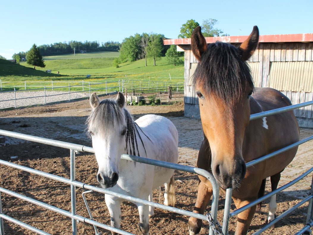 Sissy und Romina