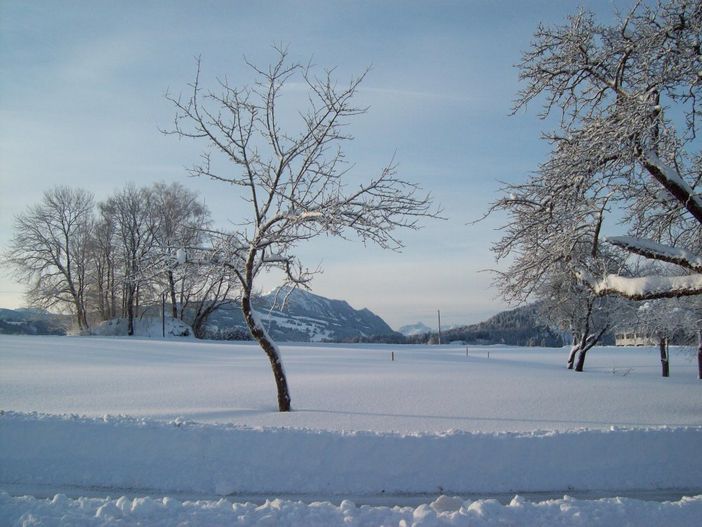 Im Winter