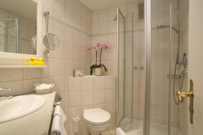 Badezimmer mit Dusche, Waschbecken und WC