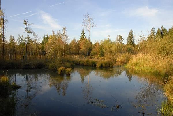 Werdensteiner Moor 2