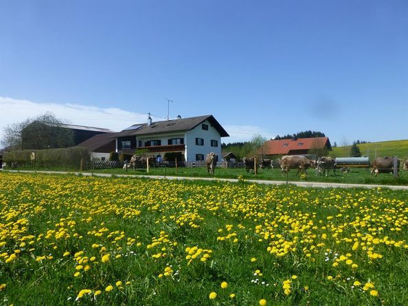 Biohof Landhaus Klöck