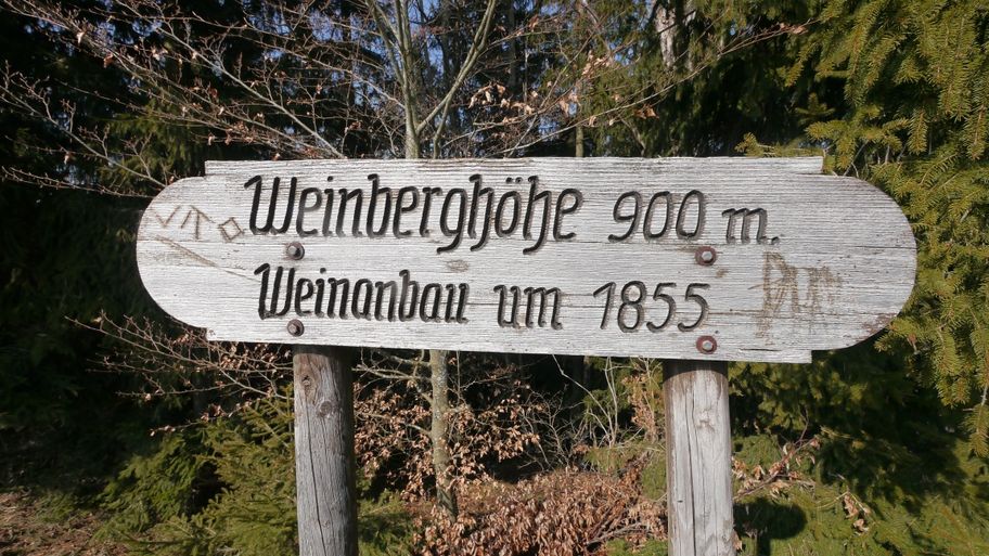Am Gipfel des Weinbergs in Burgberg