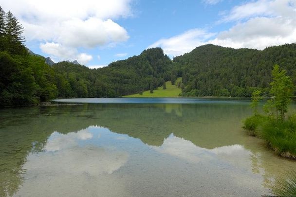 Alatsee