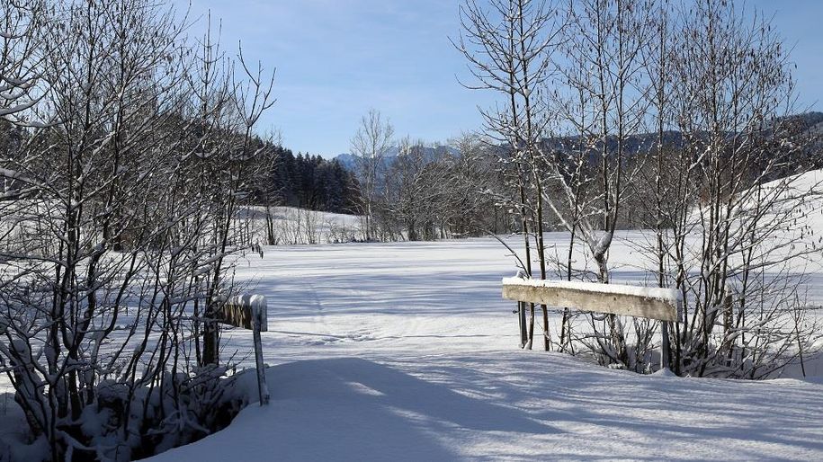 Ferienhof Eberle - Winter