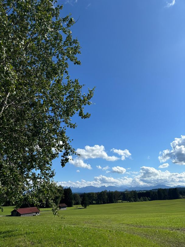 Geltnachrunde