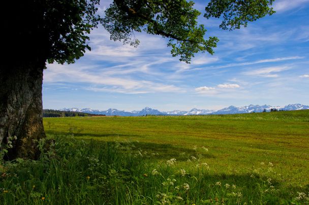 Blick von Stötten in die Alpen