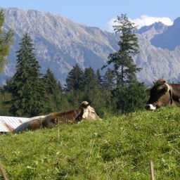 Bild 13