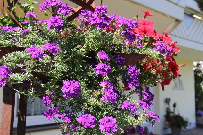 Blumenschmuck