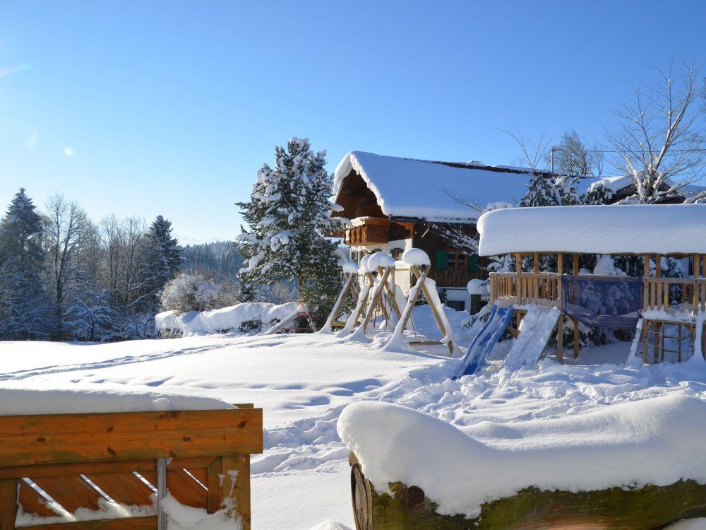 Winter am Hof