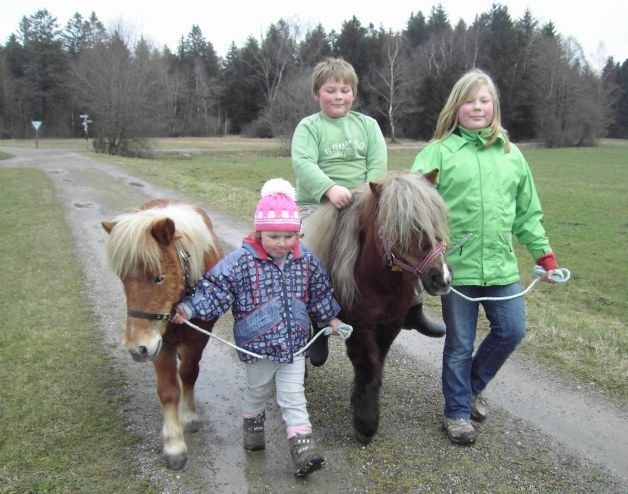 Ponyreiten - ein Highlight für die Kinder