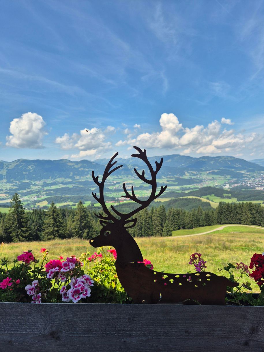 wandern direkt vor der Haustüre