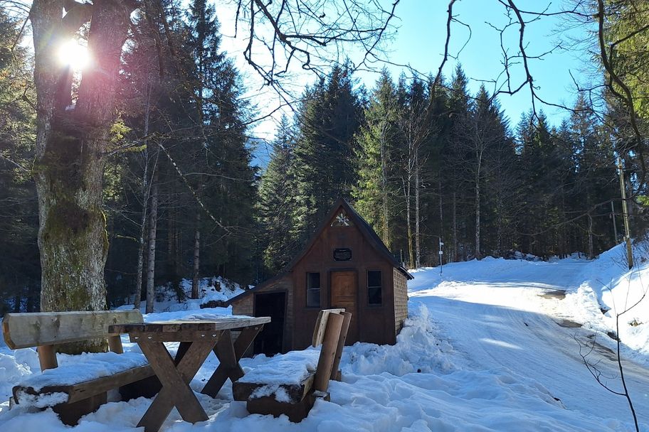 Von Immenstadt zur Mittelbergalpe