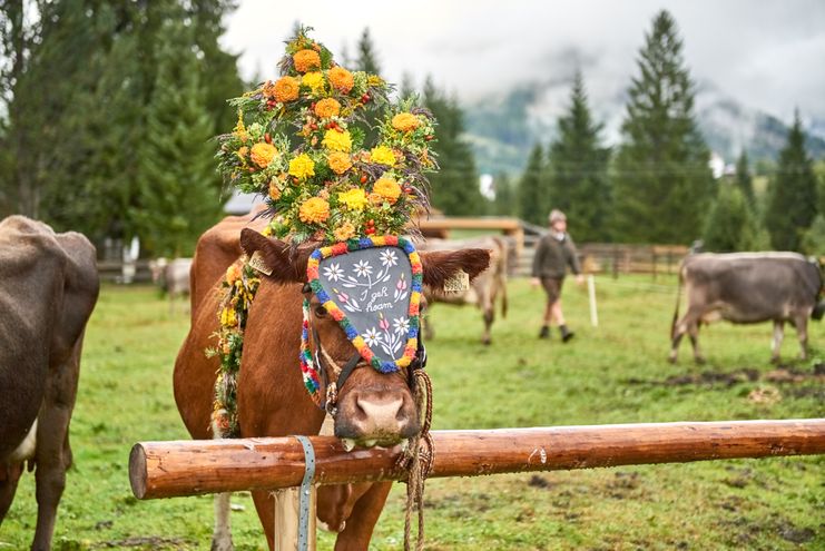 Meurers_Herbst_2017_0533