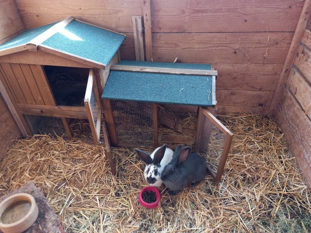 Mausi und Flecki im Winterquartiert