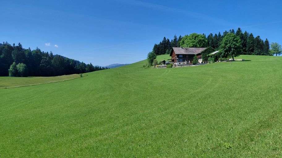 Blick Richtung Haldenköpfle