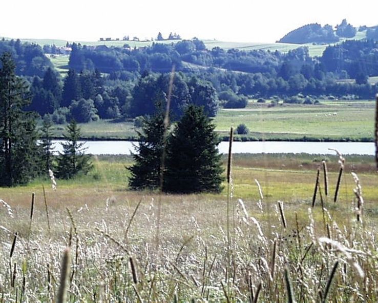 Auf unserer Tour können wir bestens die herrliche Natur erleben.