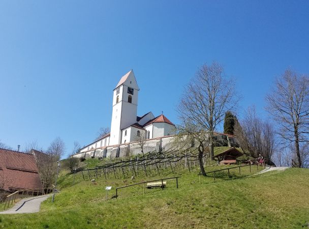 Kirche mit Weinberg in Leupolz