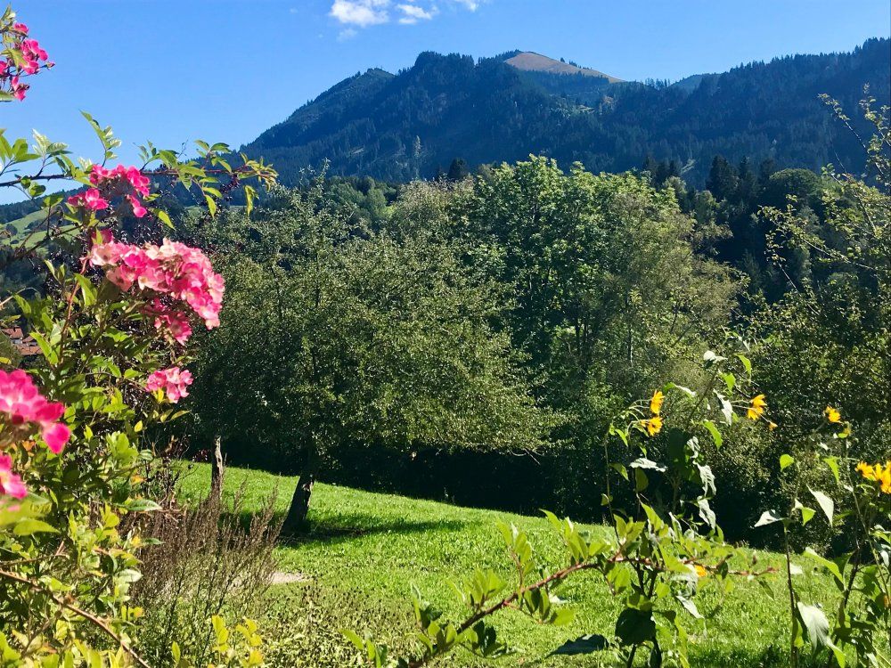 Blick zur Reuterwanne