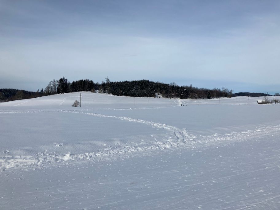 Flutlichtloipe Niederwangen mit Erweiterung