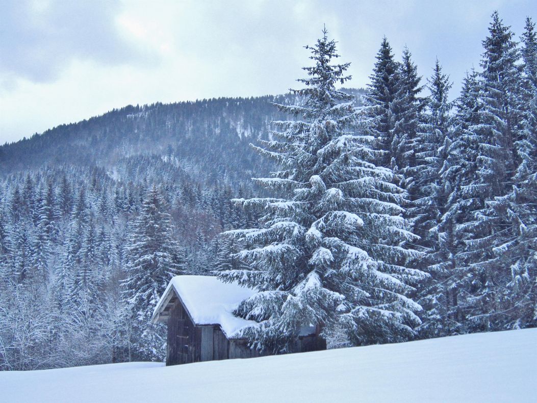 Winterhütte