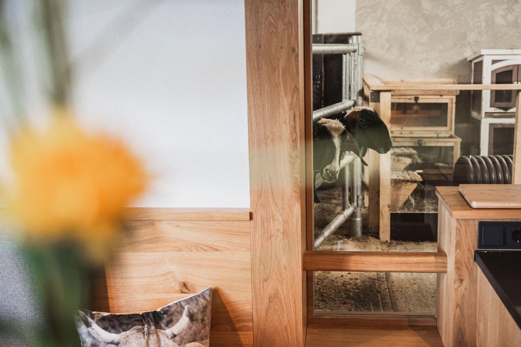 2 - 20240414-_DSC3676