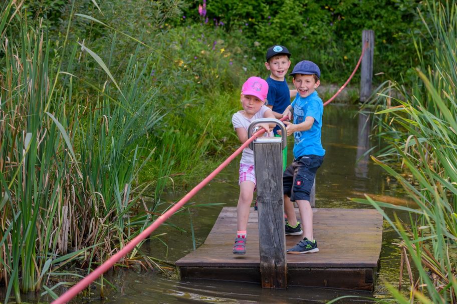 Vom Naturparkzentrum in Immenstadt-Bühl zum Forschertümpel: Entdecke den Landschaftspark