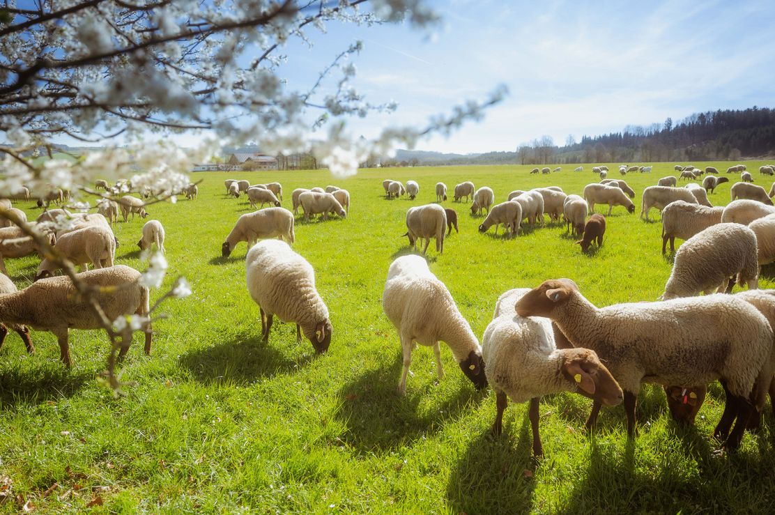 SM_Falkenhof_April25_AP-13