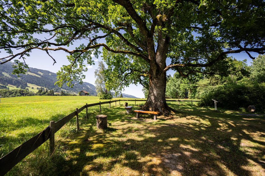 Ort der Besinnung - Obermaiselstein