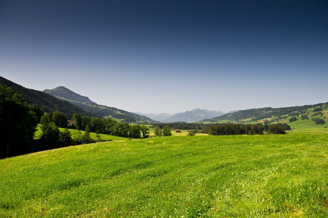 Sonnenspaziergang rund um das Emmereiser Moos