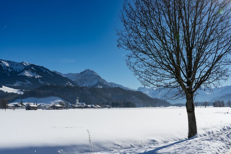 Winterliche Illerauen