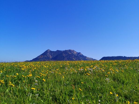 Frühlingsgefühle rund um den Ferienhof Stiefel