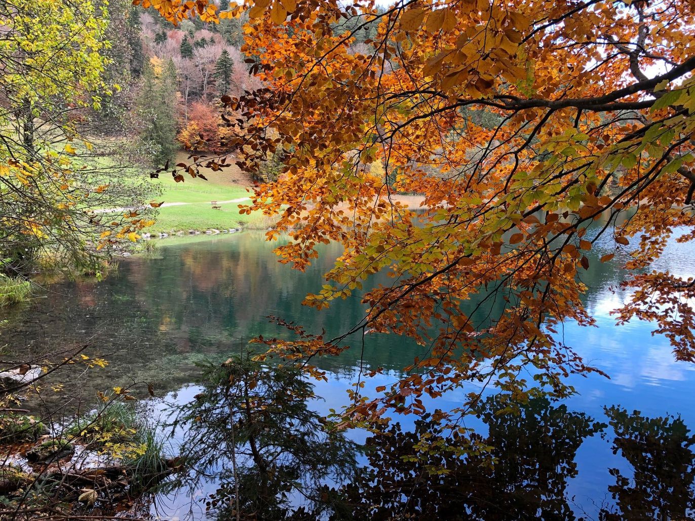 Goldener Herbst am Alatsee