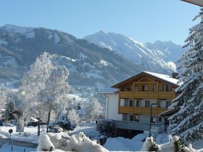 Ausblick in die Alpen