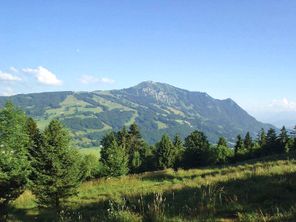 Traumhafter Blick zum Grünten