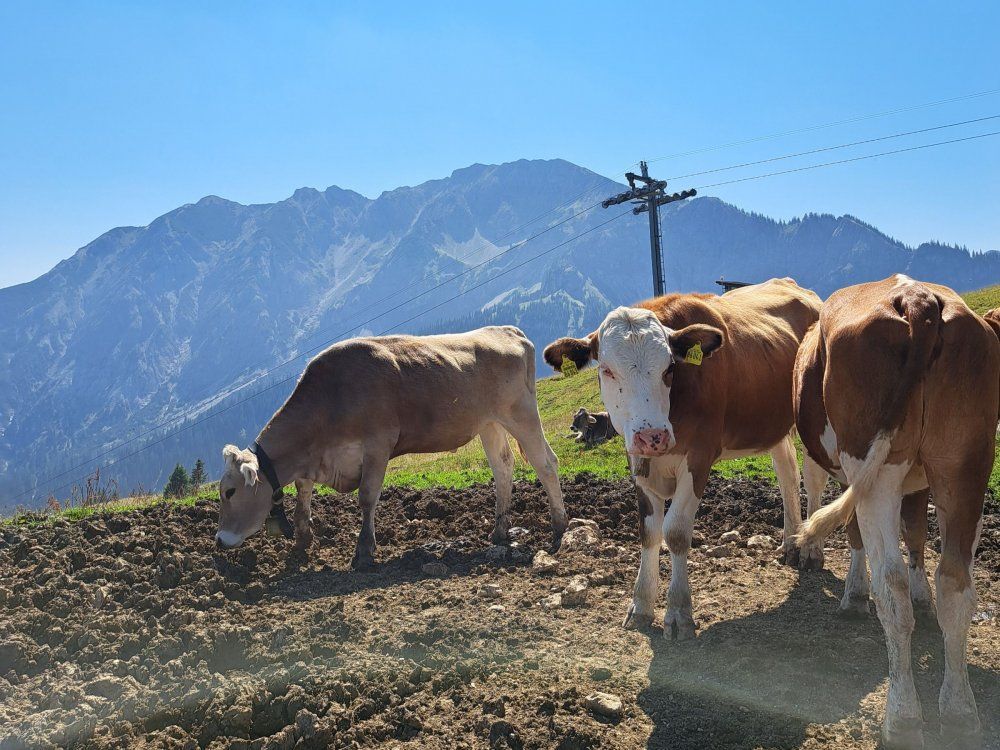 Ausflug zum Breitenberg