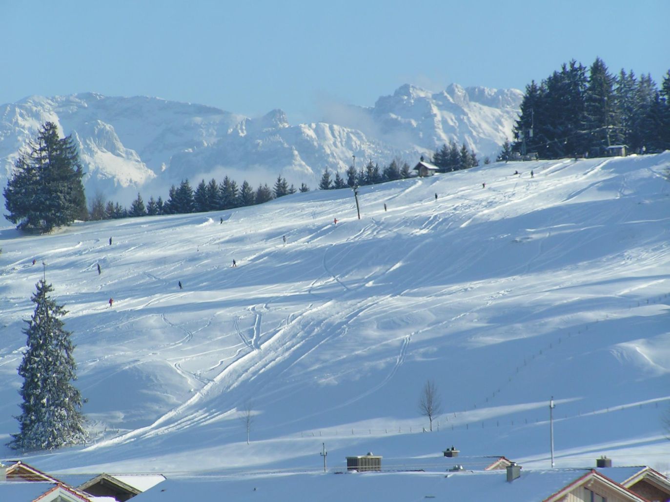 Hausberg Alte Reute