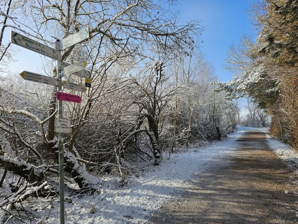 Hopfensee-Runde