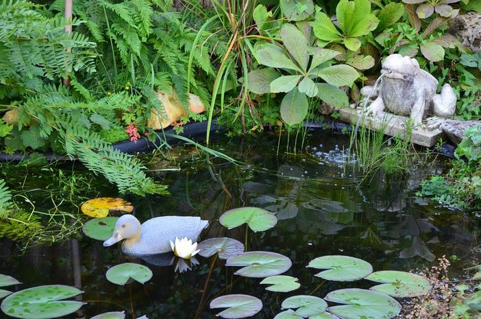 Romantischer Teich