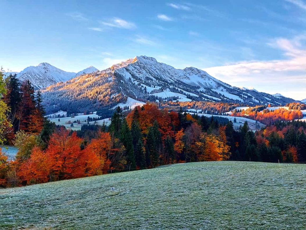 Herbststimmung in allen Farben