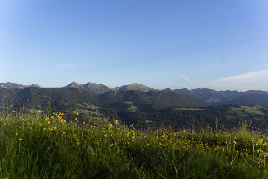 Blick auf die Nagelfluhkette